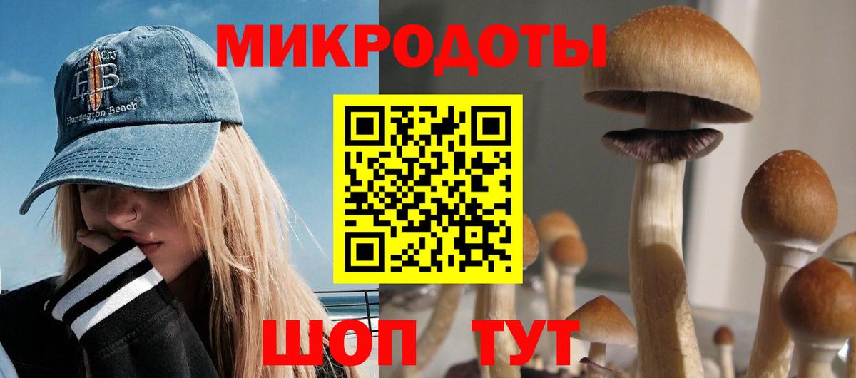 Среднеуральск  Псилоцибиновые грибы GOLDEN TEACHER  цена наркотик  Псилоцибиновые грибы прущие грибы  Вход с VPN 
